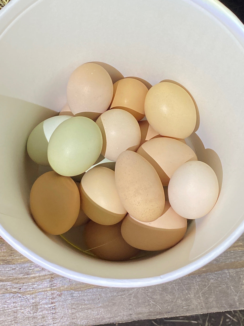 Half Dozen Homestead Eggs