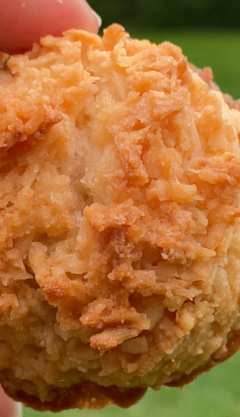 Coconut Roonies 4 count