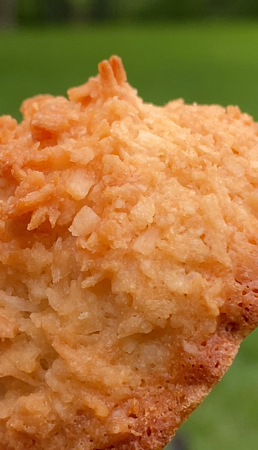 Coconut Roonies 8 count