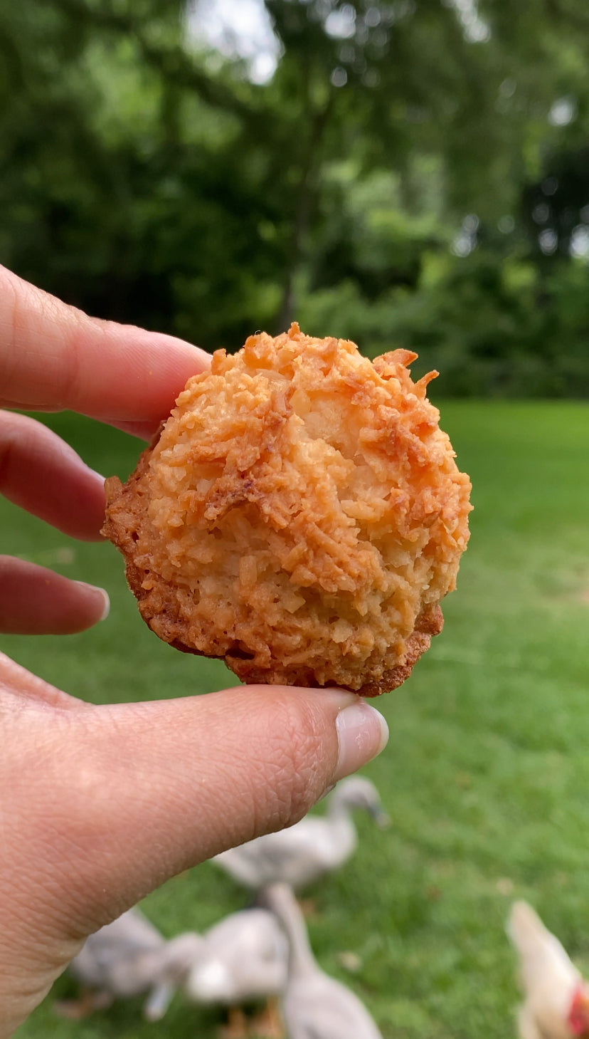 Coconut Roonies 8 count