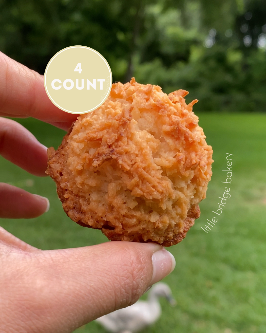 Coconut Roonies 4 count