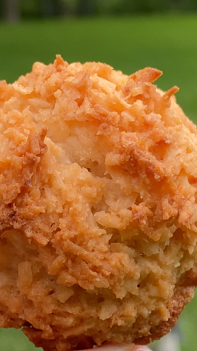 Coconut Roonies 8 count