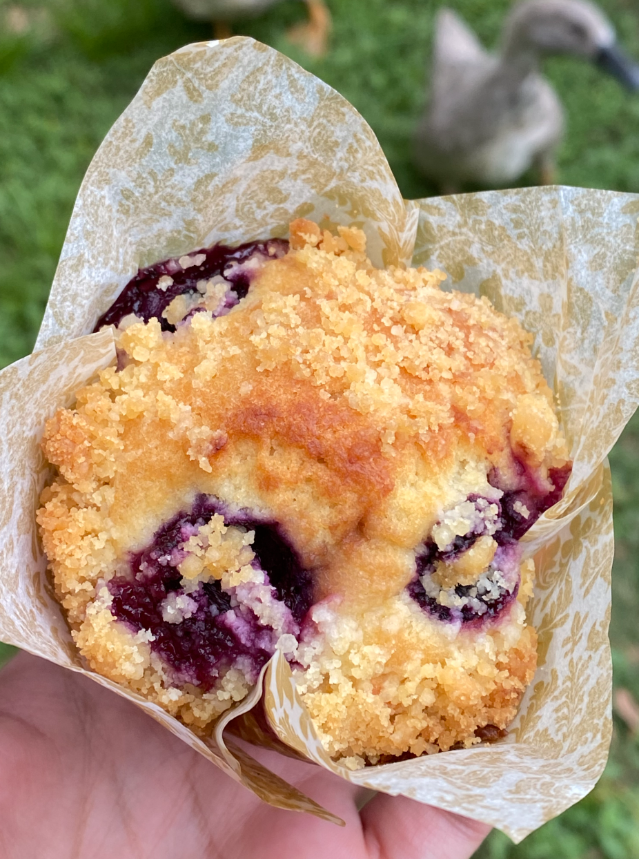 Blueberry Crumble Muffin