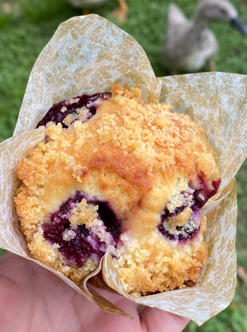 Blueberry Crumble Muffin