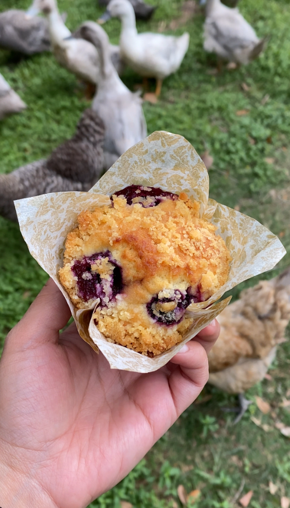 Blueberry Crumble Muffin