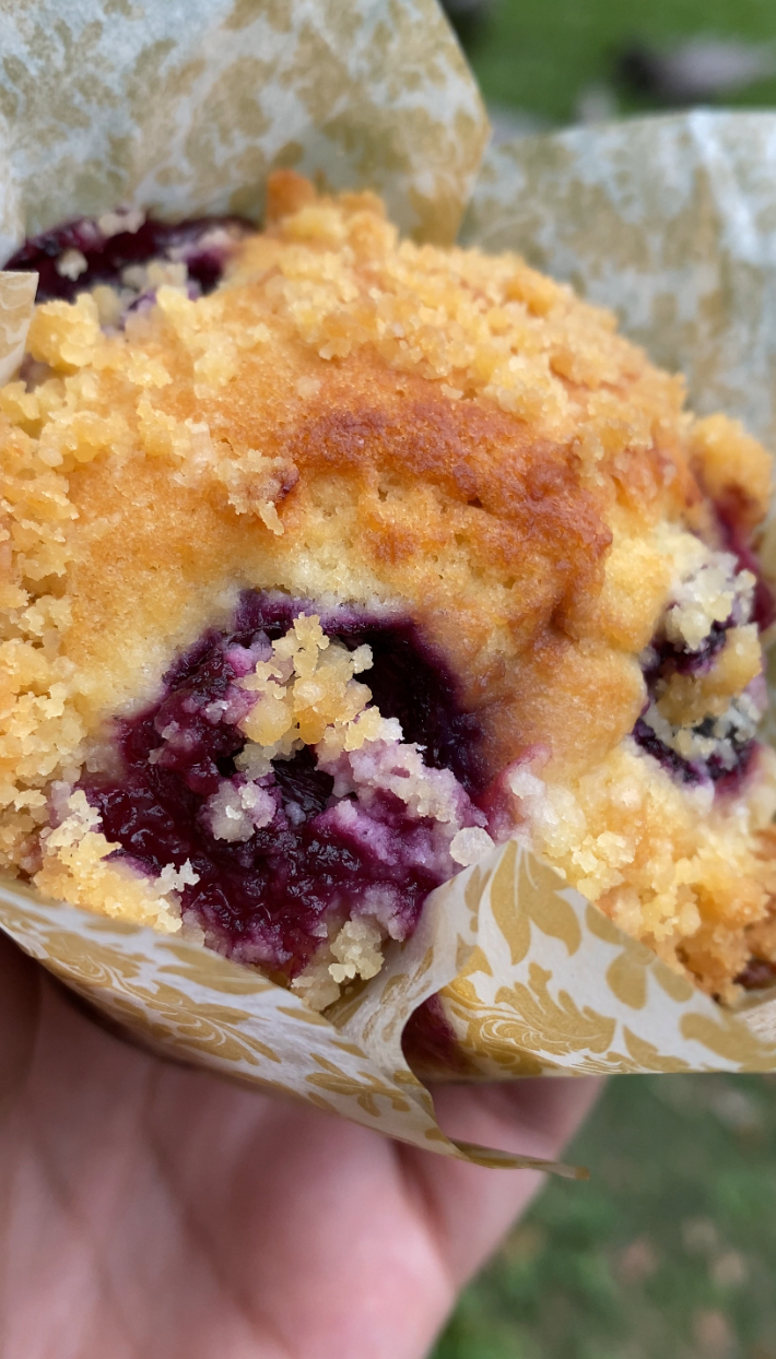 Blueberry Crumble Muffin